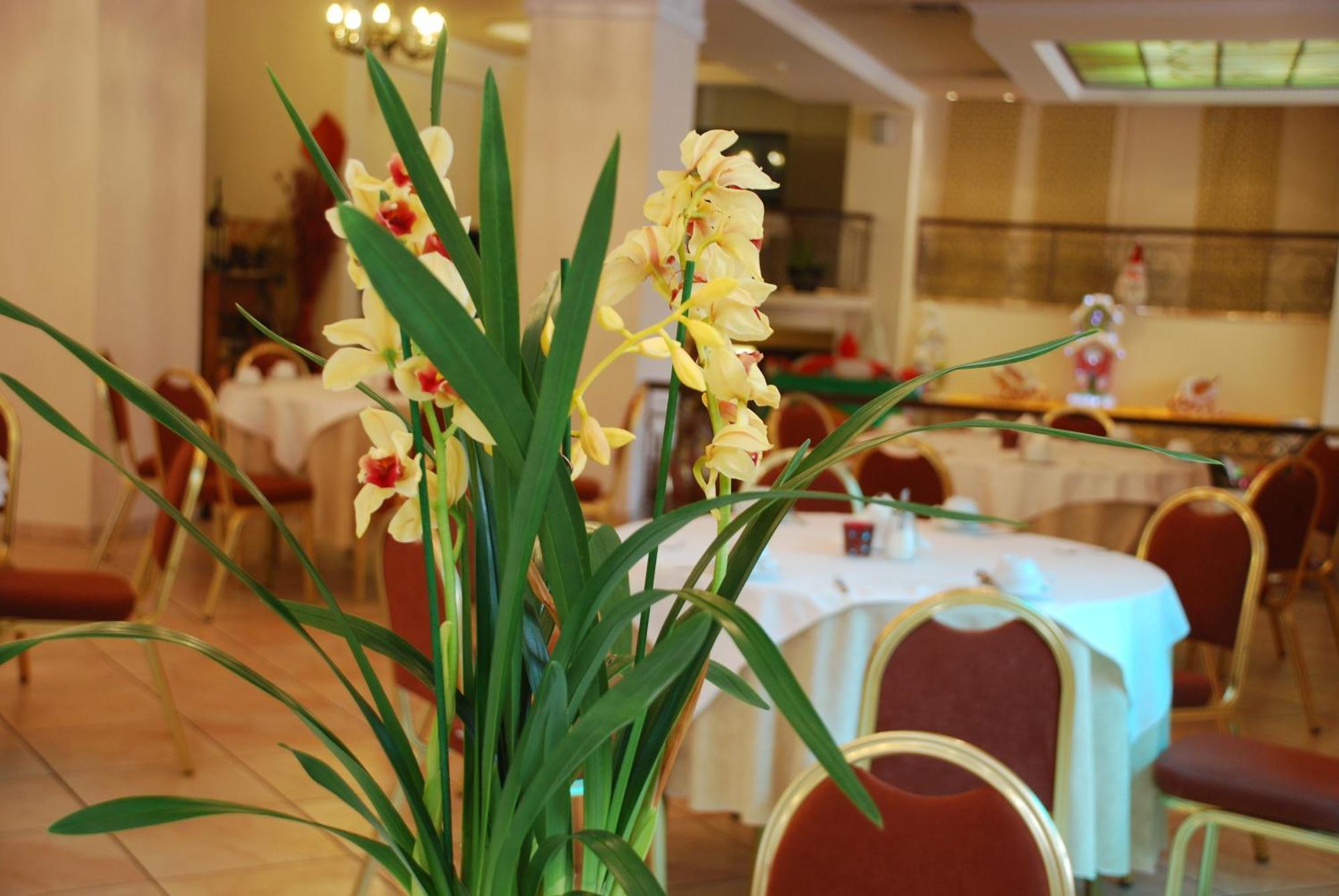 Hotel Pella Янниця Екстер'єр фото